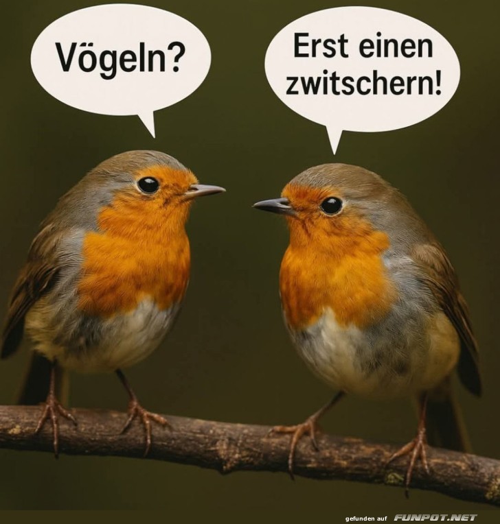 Zwitschernder Flirt im Vogelparadies Zwitschernder Flirt im Vogelparadies