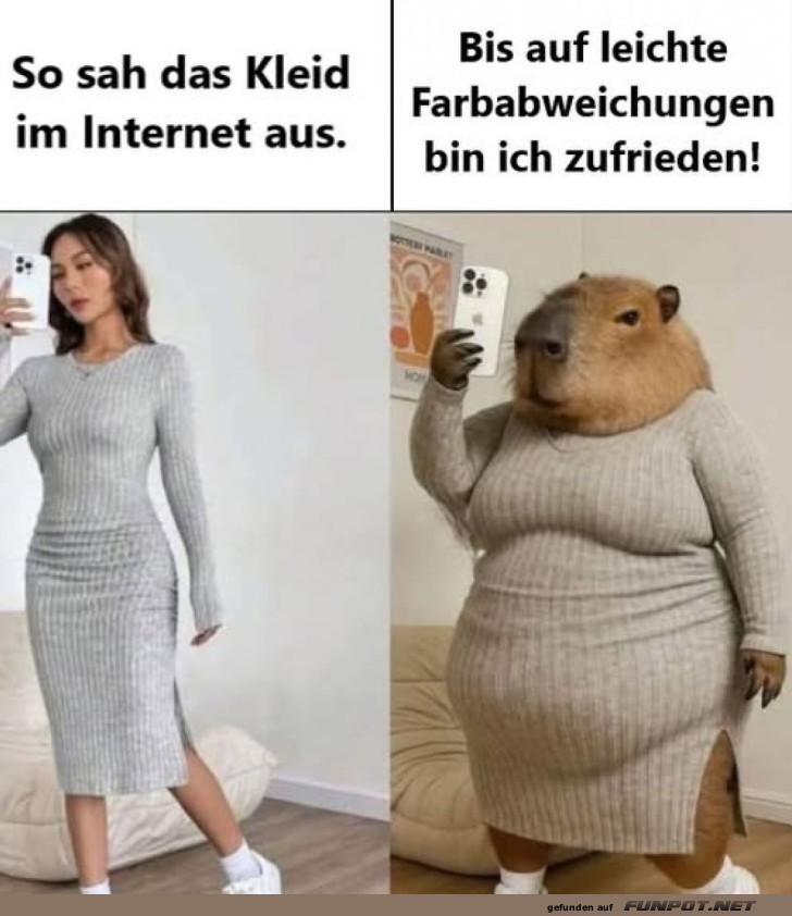Online Shopping Erwartungen vs. Realität Online Shopping Erwartungen vs. Realität