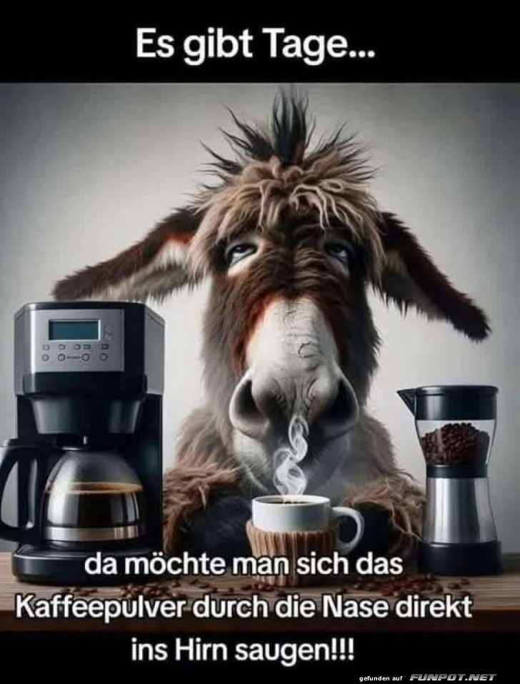 Wenn Kaffee allein nicht reicht! Wenn Kaffee allein nicht reicht!