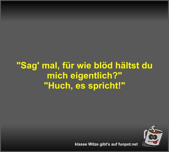 Sag' mal, für wie blöd hältst du mich eigentlich? Sag' mal, für wie blöd hältst du mich eigentlich?