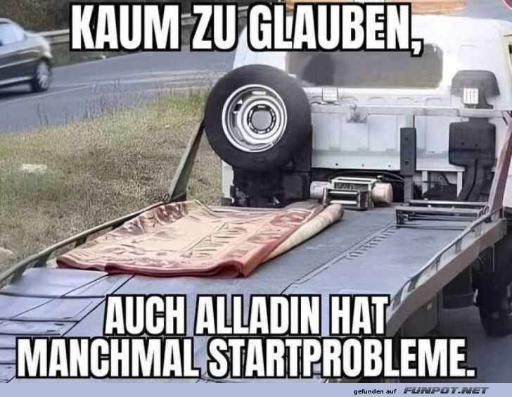 Alladins Teppich-TÜV Alladins Teppich-TÜV