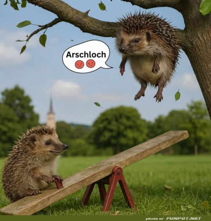 Igel-Katapult in Aktion! Igel-Katapult in Aktion!