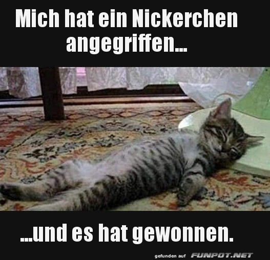Nickerchen-Angriff erfolgreich beendet! Nickerchen-Angriff erfolgreich beendet!