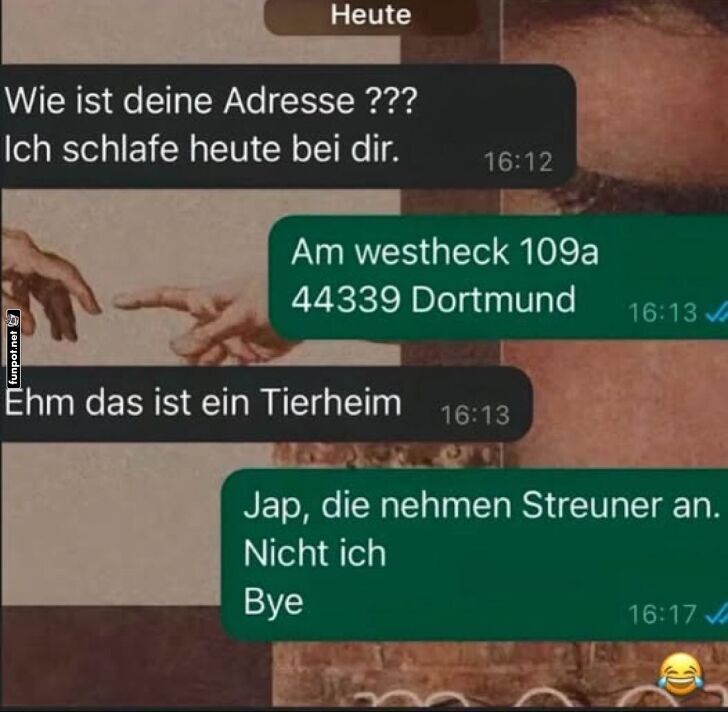 Übernachtung im Tierheim gebucht? Übernachtung im Tierheim gebucht?