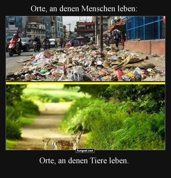 Müllchaos vs. Naturparadies Müllchaos vs. Naturparadies
