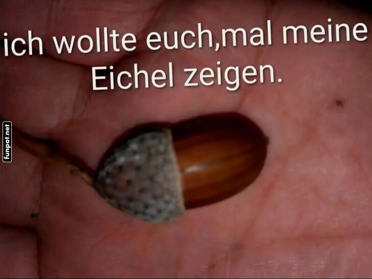 Eichel Enthüllung: Ungeahnte Perspektiven Eichel Enthüllung: Ungeahnte Perspektiven