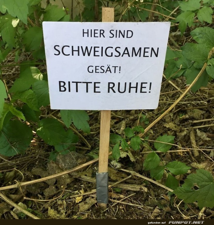 Pssst! Schweigsame wachsen hier! Pssst! Schweigsame wachsen hier!