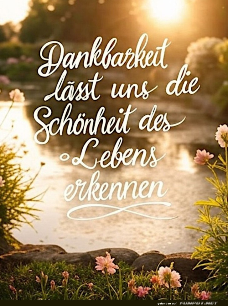 Dankbarkeit: Der beste Lebensfilter! Dankbarkeit: Der beste Lebensfilter!