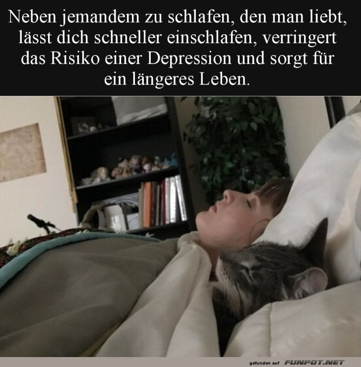 Kuschelakademie: Geliebtes Studium Kuschelakademie: Geliebtes Studium