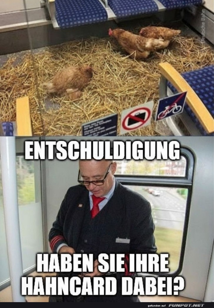 Wenn Hühnerklasse zur neuen Ersten Klasse wird Wenn Hühnerklasse zur neuen Ersten Klasse wird
