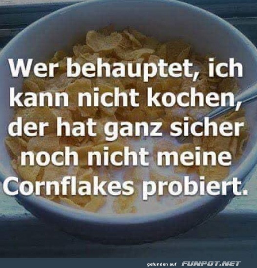 Meine Kochkünste: Cornflakes Deluxe Meine Kochkünste: Cornflakes Deluxe