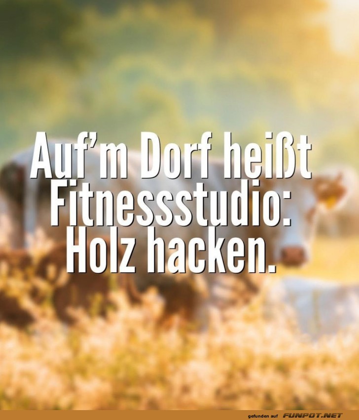 Alternative zum Fitnessstudio: Holzhacken! Alternative zum Fitnessstudio: Holzhacken!