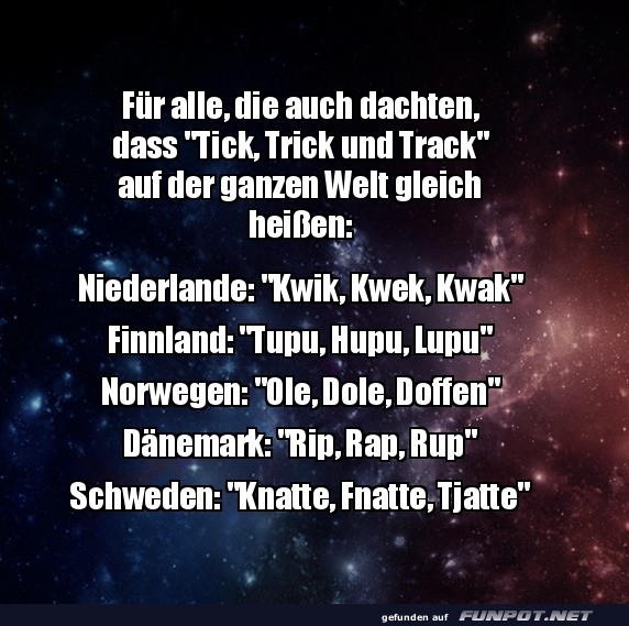 Die ganze Welt liebt Enten Die ganze Welt liebt Enten