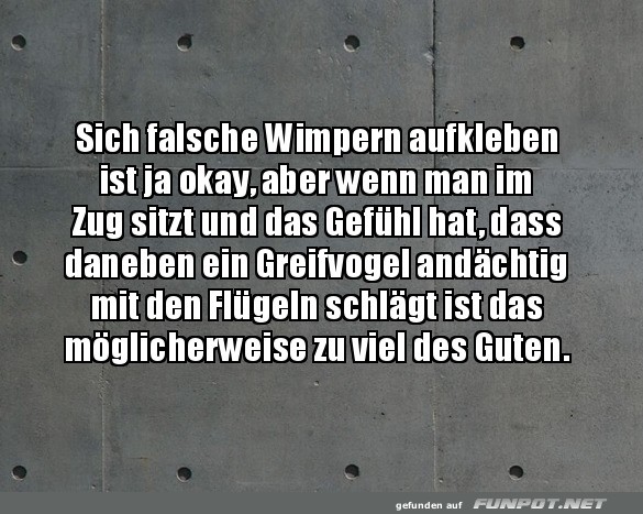 Schlagende Wimpern-Mode! Schlagende Wimpern-Mode!