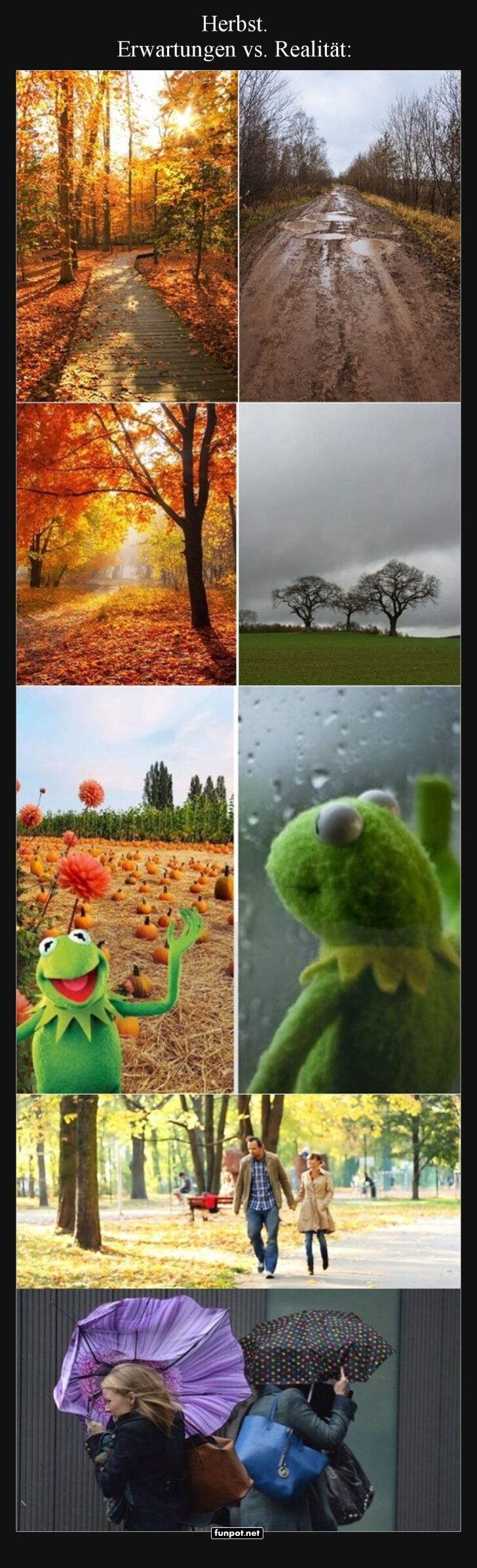 Herbst: Wenn Erwartungen auf Regen treffen! Herbst: Wenn Erwartungen auf Regen treffen!