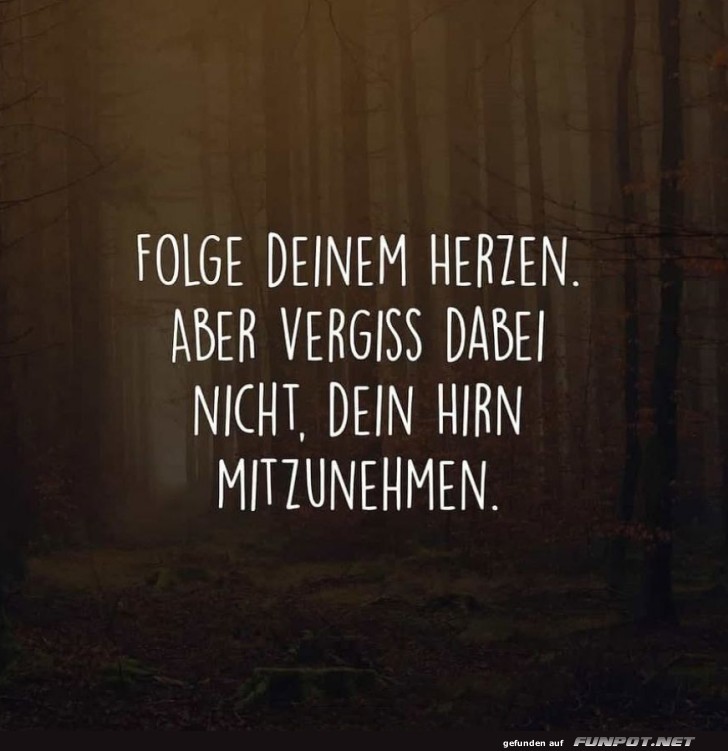 Herz folgen, Hirn nicht vergessen! Herz folgen, Hirn nicht vergessen!