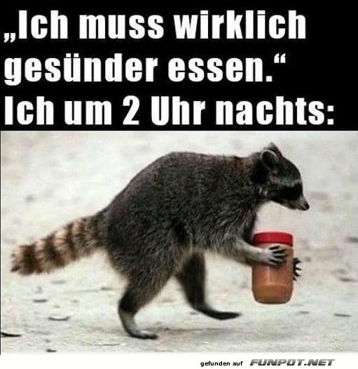 Mitternachtssnack-Mission: unmöglich! Mitternachtssnack-Mission: unmöglich!
