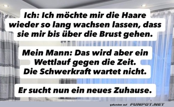 Wenn Frisur zum Abenteuer wird Wenn Frisur zum Abenteuer wird