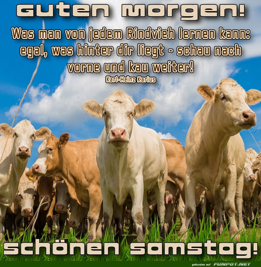 Muuuuutig in den Samstag starten! Muuuuutig in den Samstag starten!