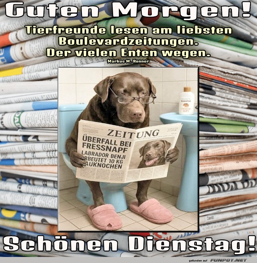 Der lesende Hund im Zeitschriftenparadies Der lesende Hund im Zeitschriftenparadies