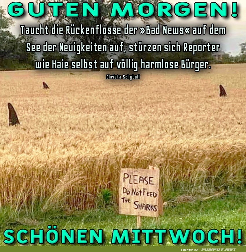 Sensationsreporter im Weizenfeld! Sensationsreporter im Weizenfeld!