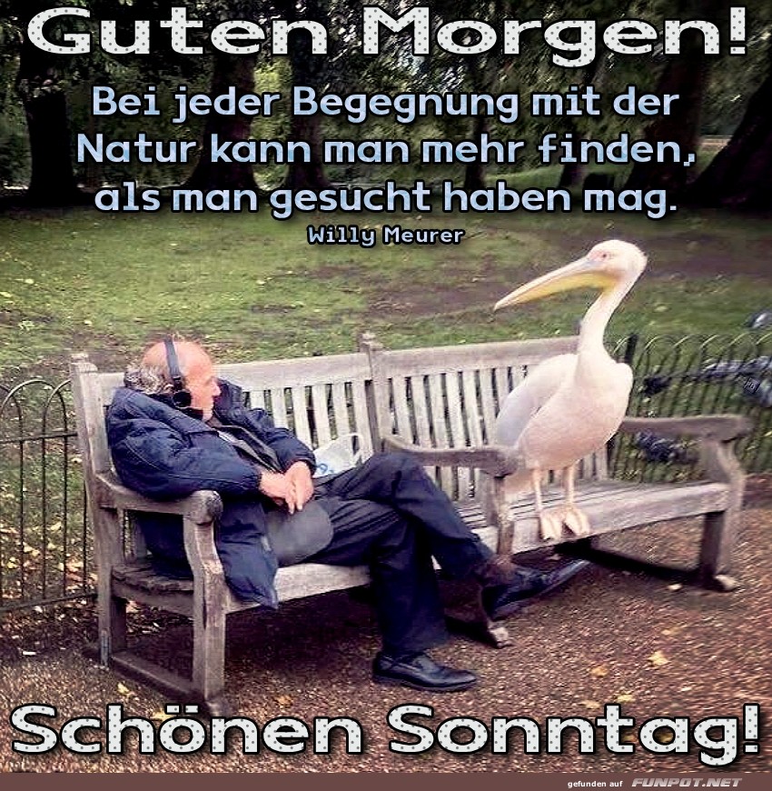 Frühstücksdate im Park: Pelikan-Edition Frühstücksdate im Park: Pelikan-Edition