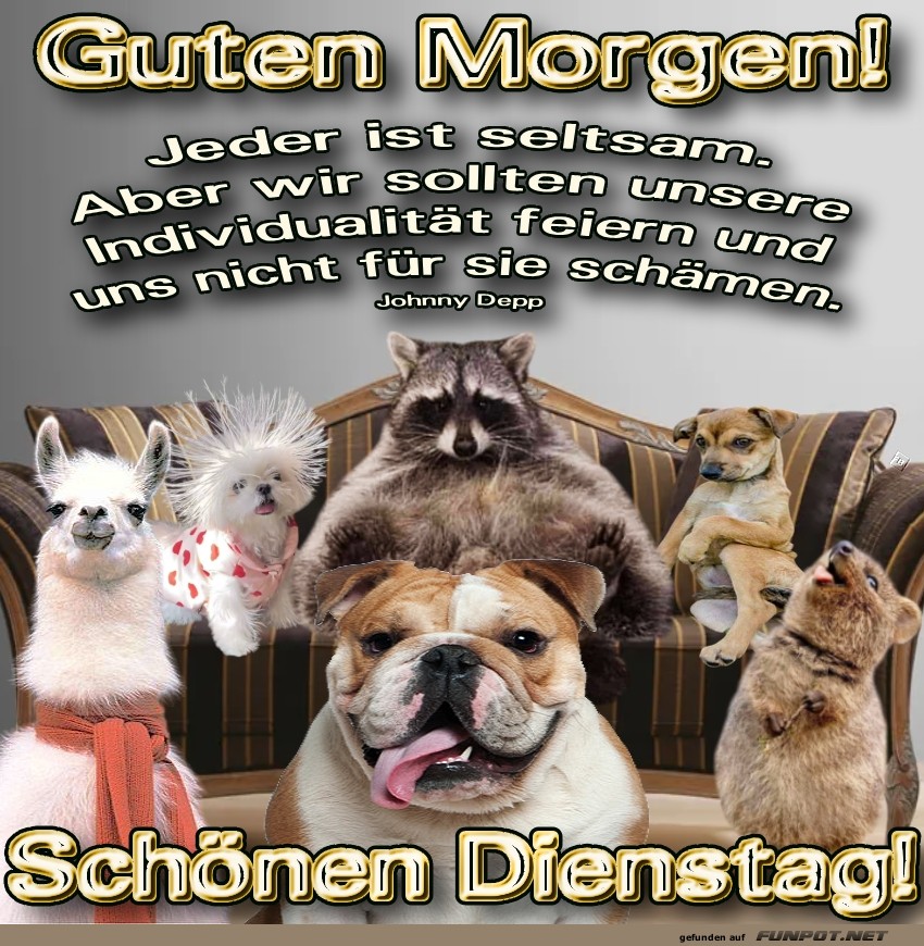 Tierische Morgenkonferenz: Chaos garantiert! Tierische Morgenkonferenz: Chaos garantiert!