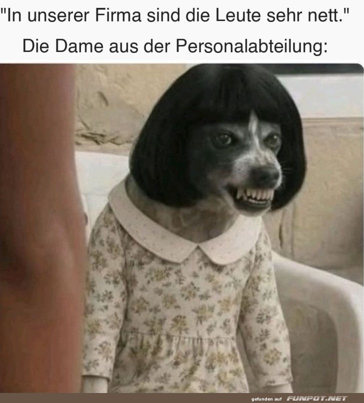 Ein haariges HR-Abenteuer