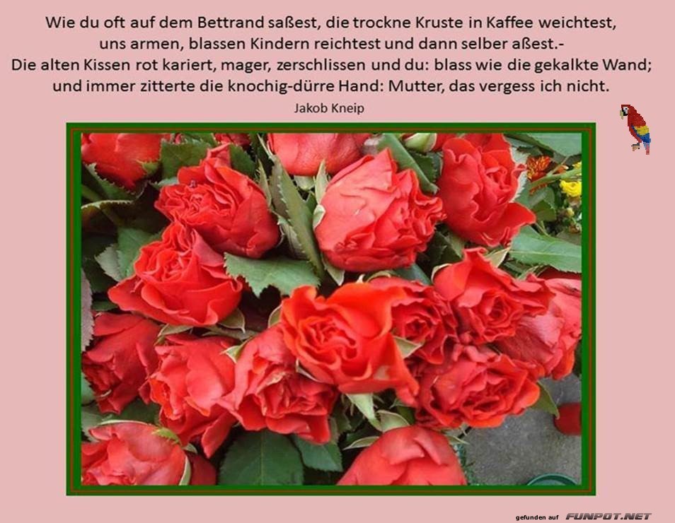 Wie oft Wie oft