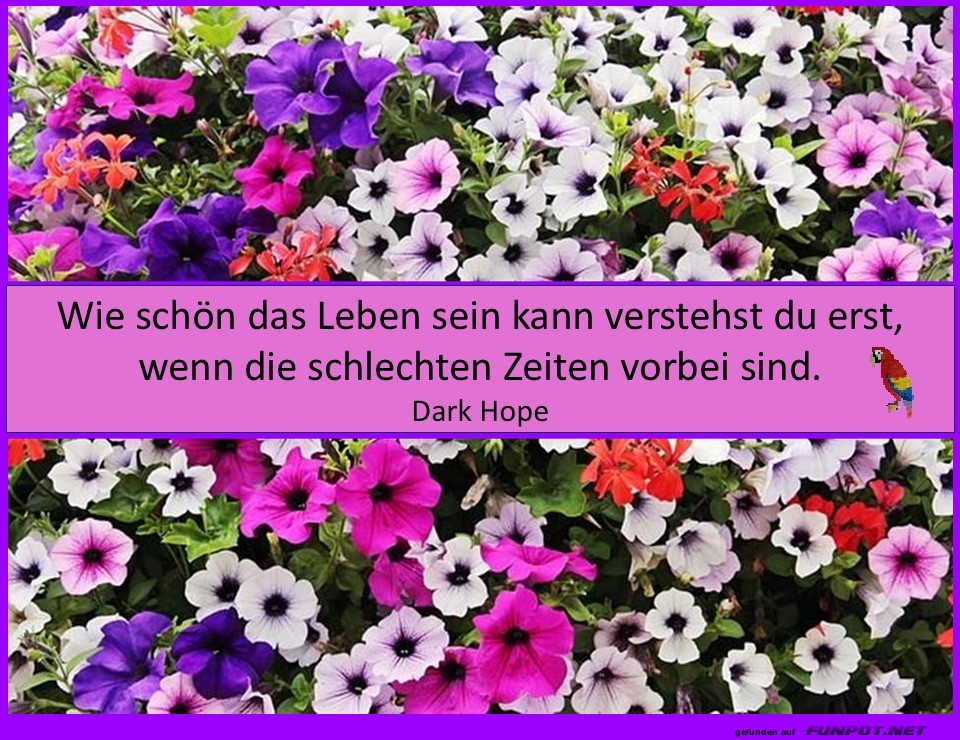 Wie schön das Leben sein kann Wie schön das Leben sein kann