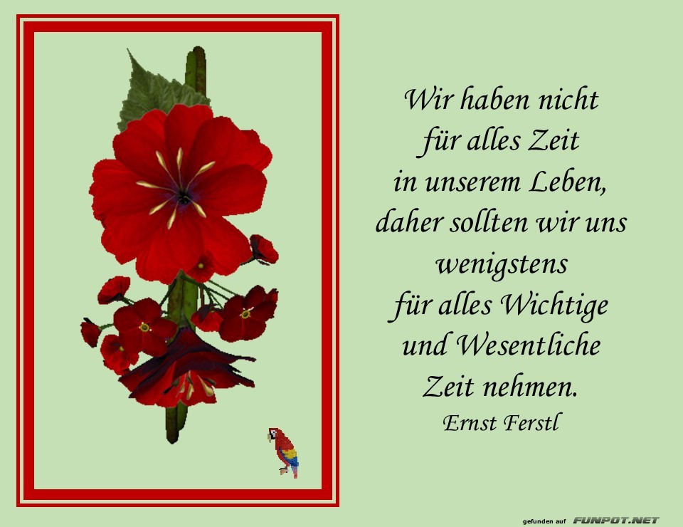Wir haben nicht viel Zeit Wir haben nicht viel Zeit