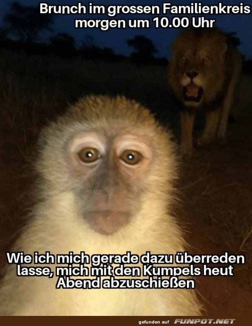 Wenn der Kumpel den Partyplan vorschlägt Wenn der Kumpel den Partyplan vorschlägt