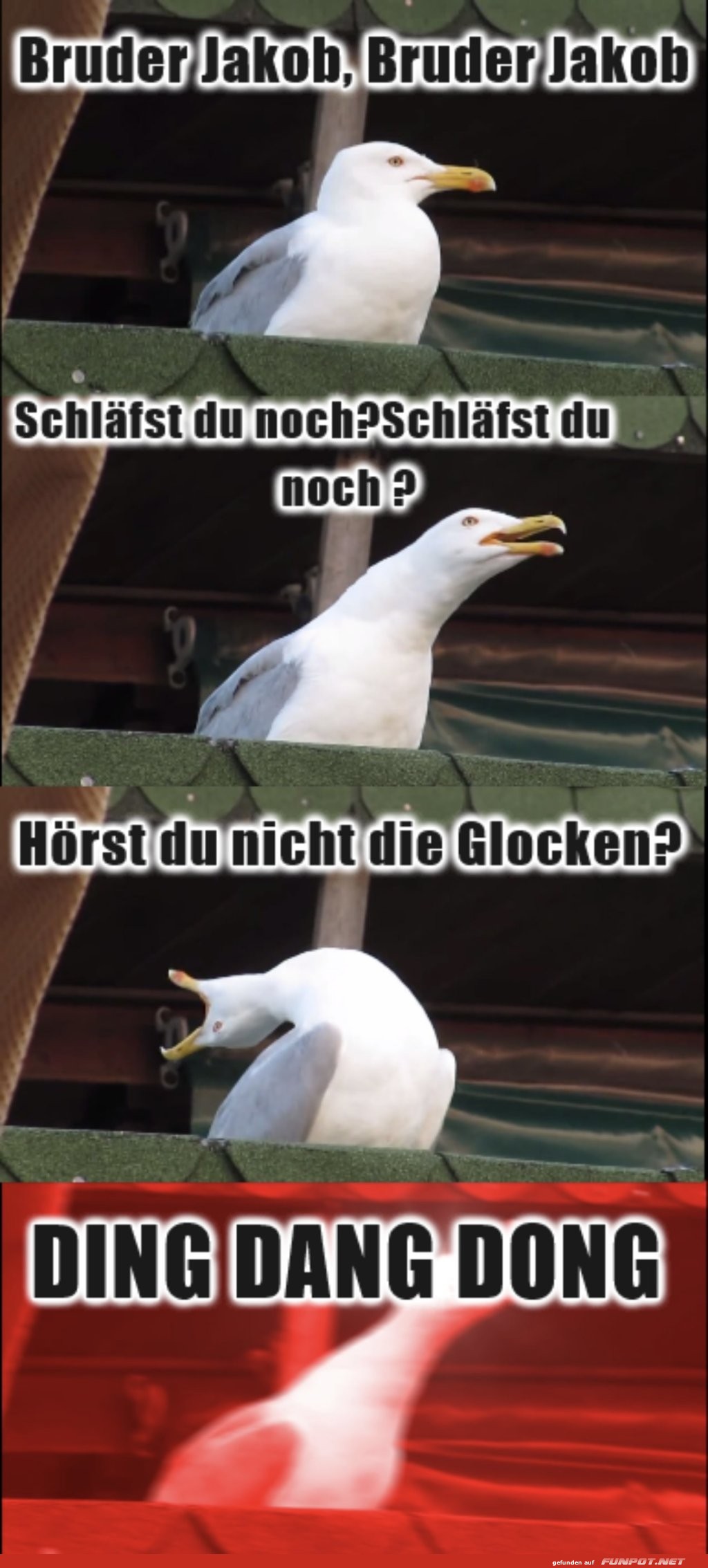 Möwen-Alarm: Bruder Jakob Remix! Möwen-Alarm: Bruder Jakob Remix!