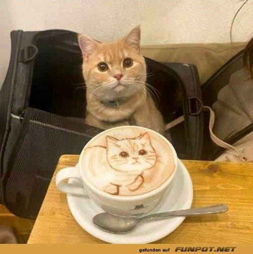 Kaffeekunst im Katzenmodus! Kaffeekunst im Katzenmodus!