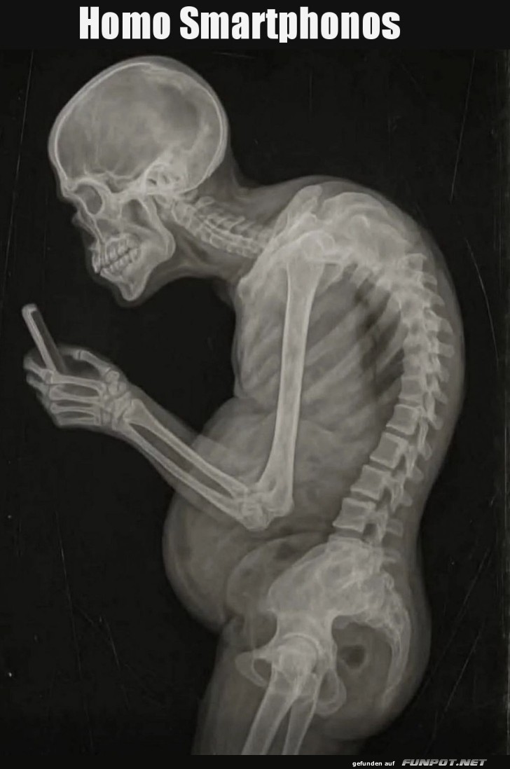 Evolution des Alltags: Homo Smartphonos Evolution des Alltags: Homo Smartphonos