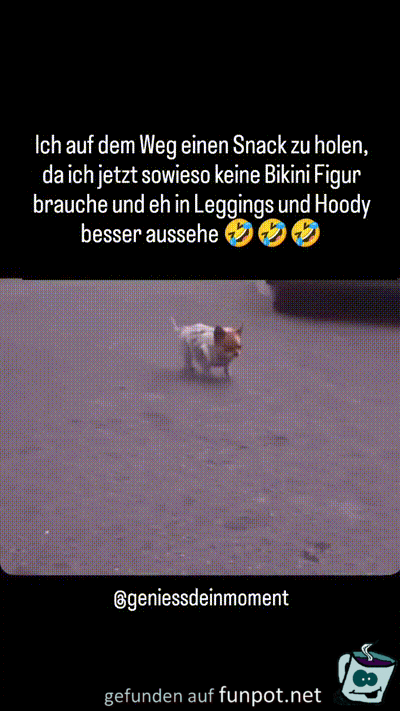 Lustiger Hund Lustiger Hund