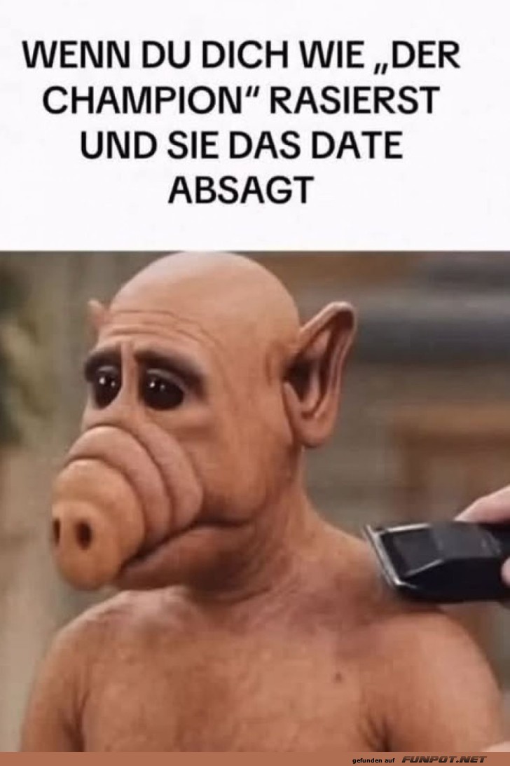 Schön rasiert und trotzdem allein! Schön rasiert und trotzdem allein!