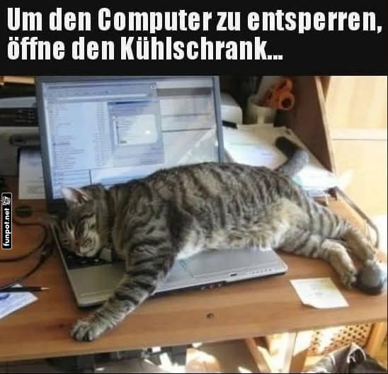 Katzensperre: Neues Laptop-Feature entdeckt! Katzensperre: Neues Laptop-Feature entdeckt!