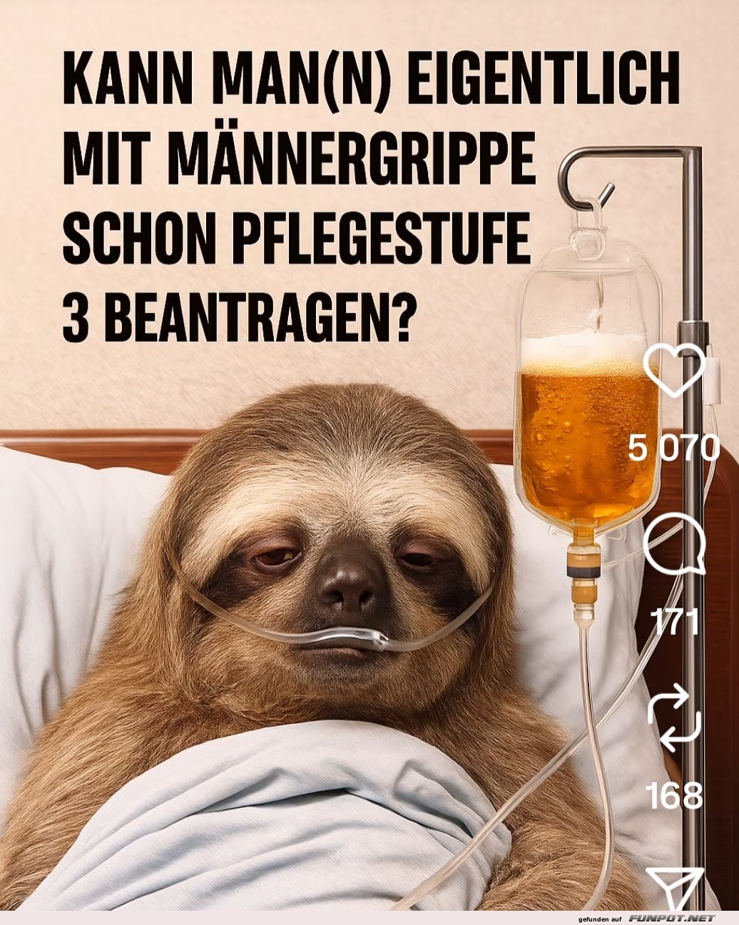 Faultier im Männergrippe-Drama Faultier im Männergrippe-Drama