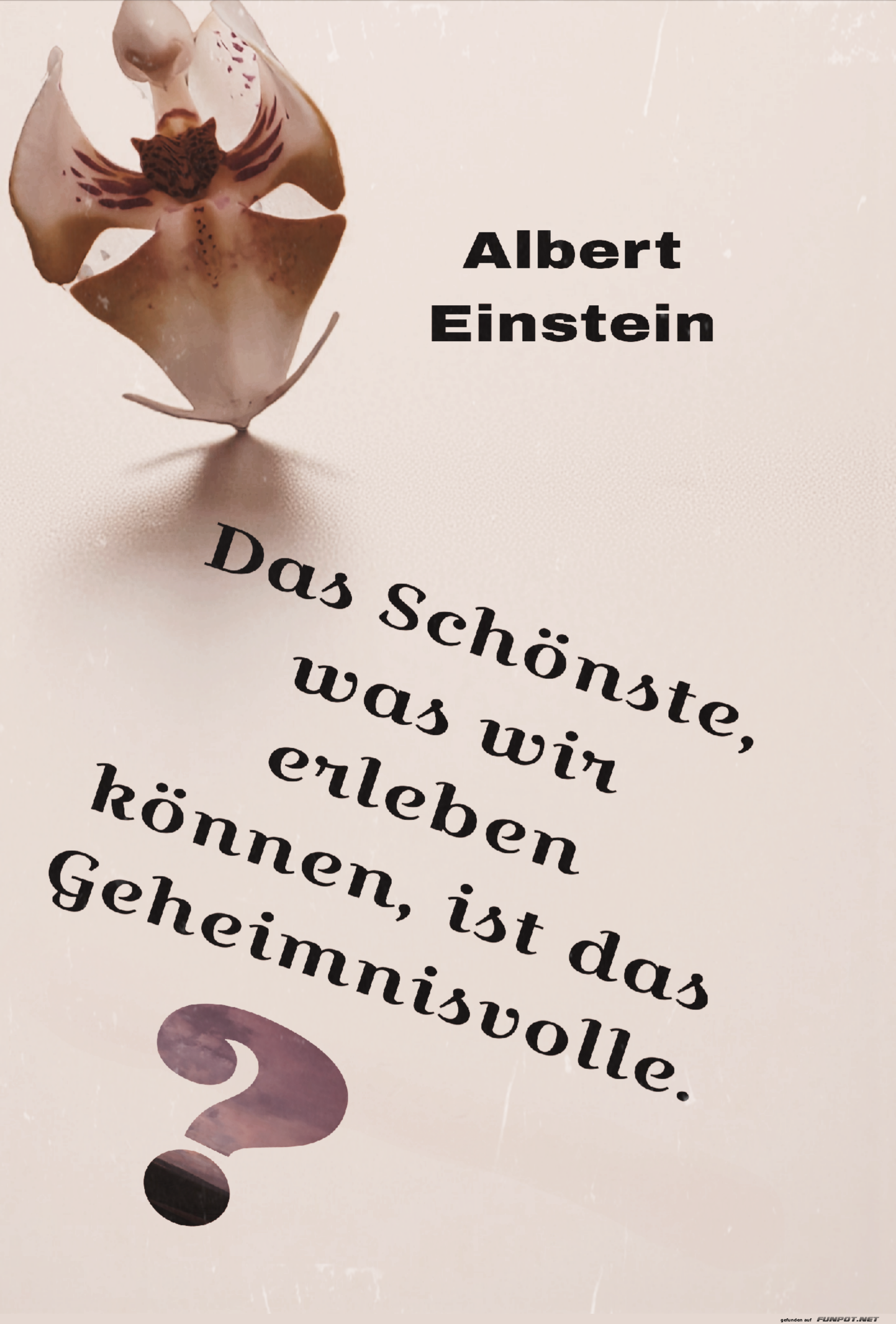 das schönste, was wir erleben