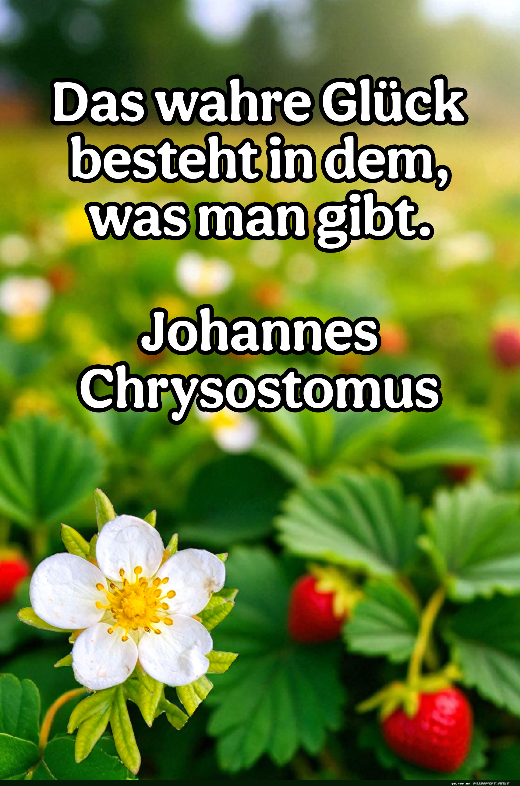 das wahre glück besteht