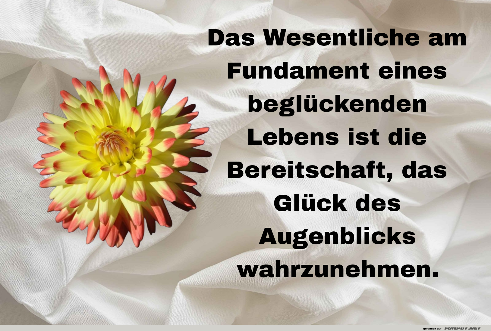 das wesentliche am fundament