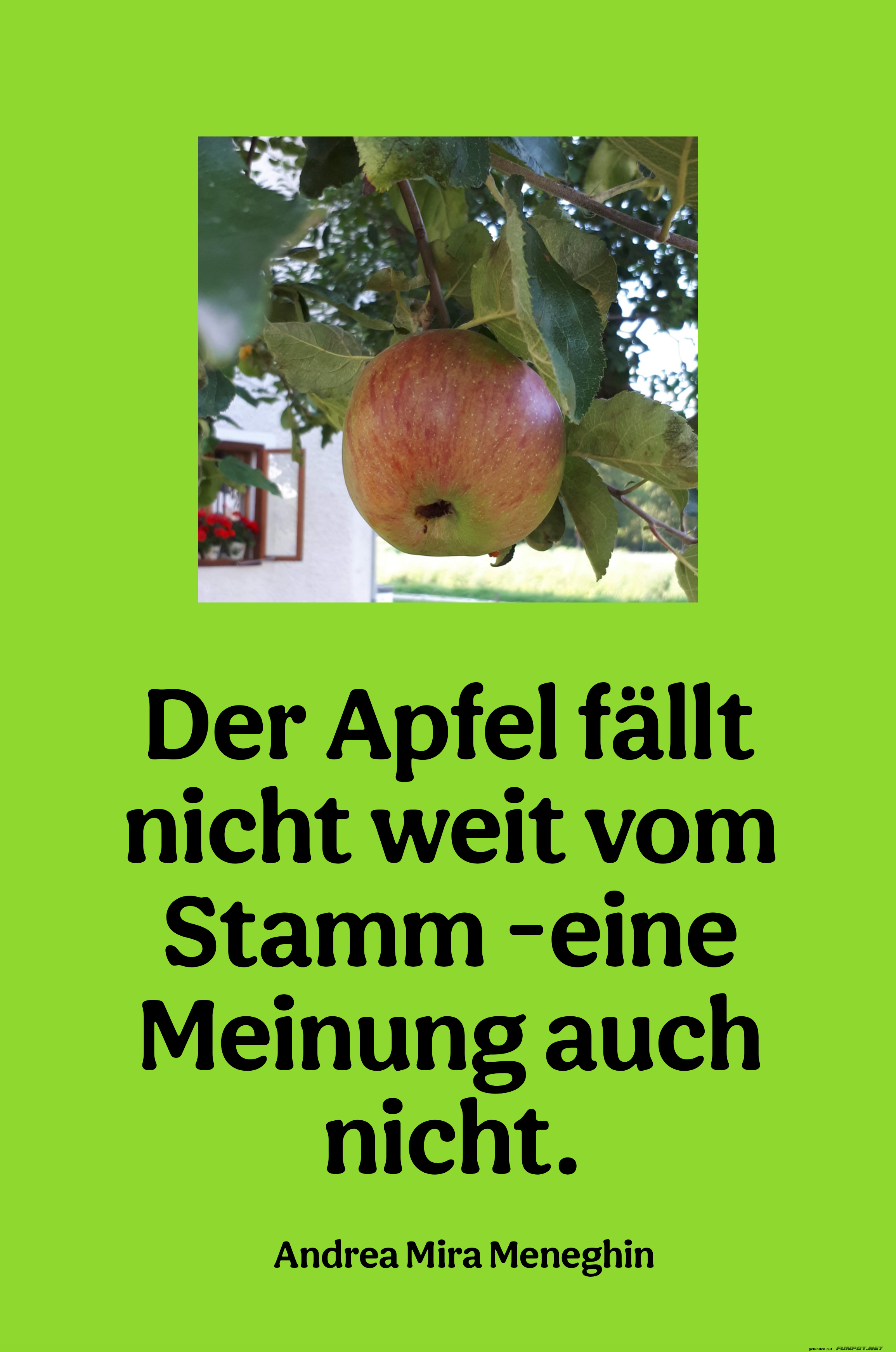 der apfel fällt nicht weit