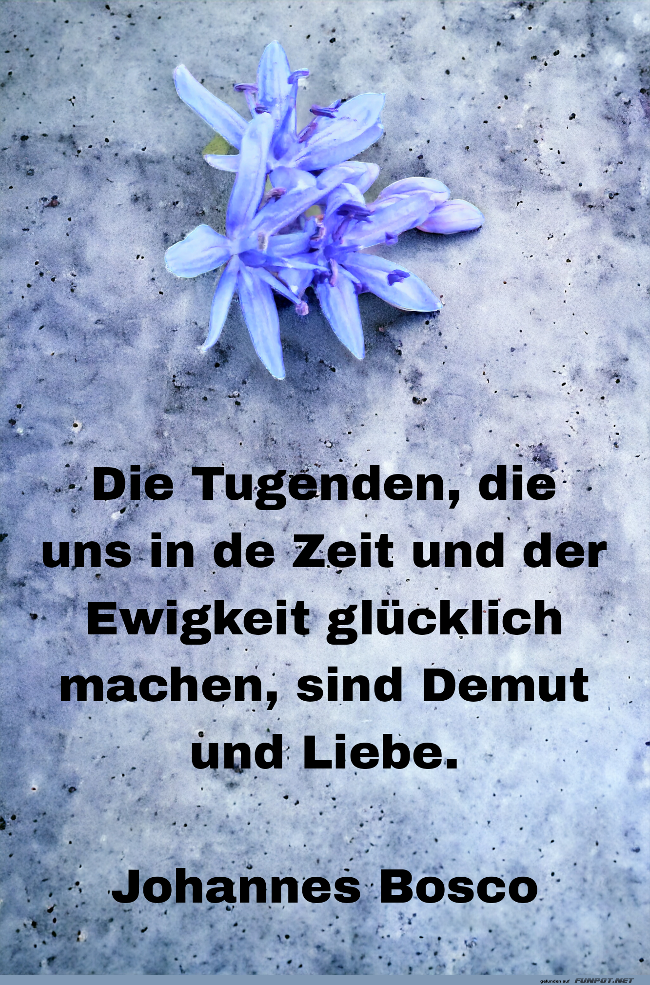 die tugenden, die uns in .. die tugenden, die uns in ..