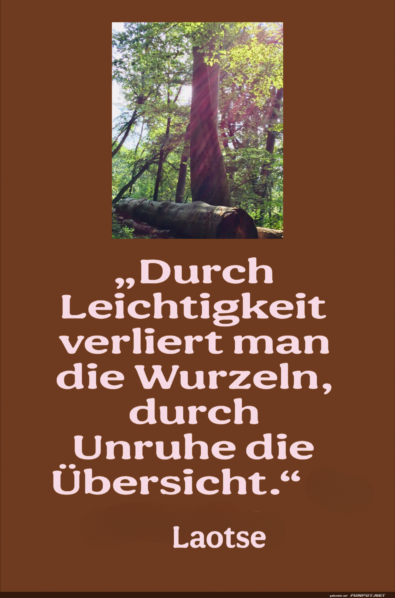 durch leichtigkeit verliert man durch leichtigkeit verliert man