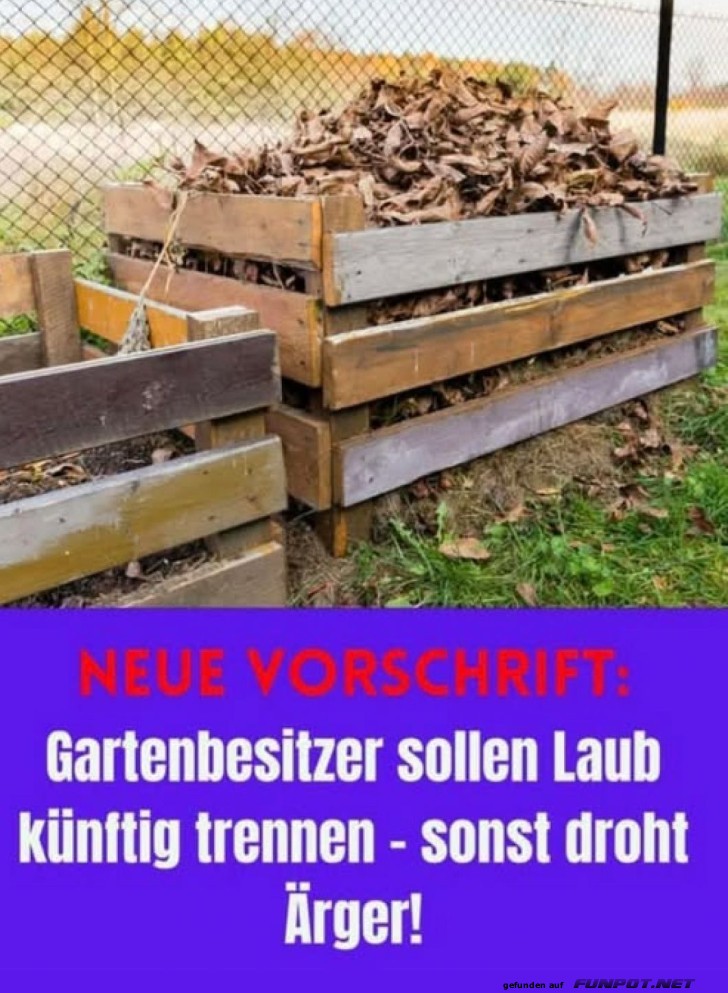 Laubrevolte im Garten angekündigt!