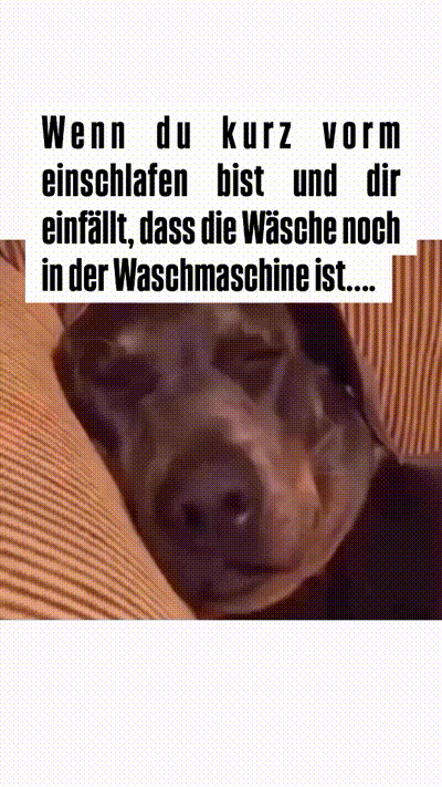 Das ist blöd Das ist blöd