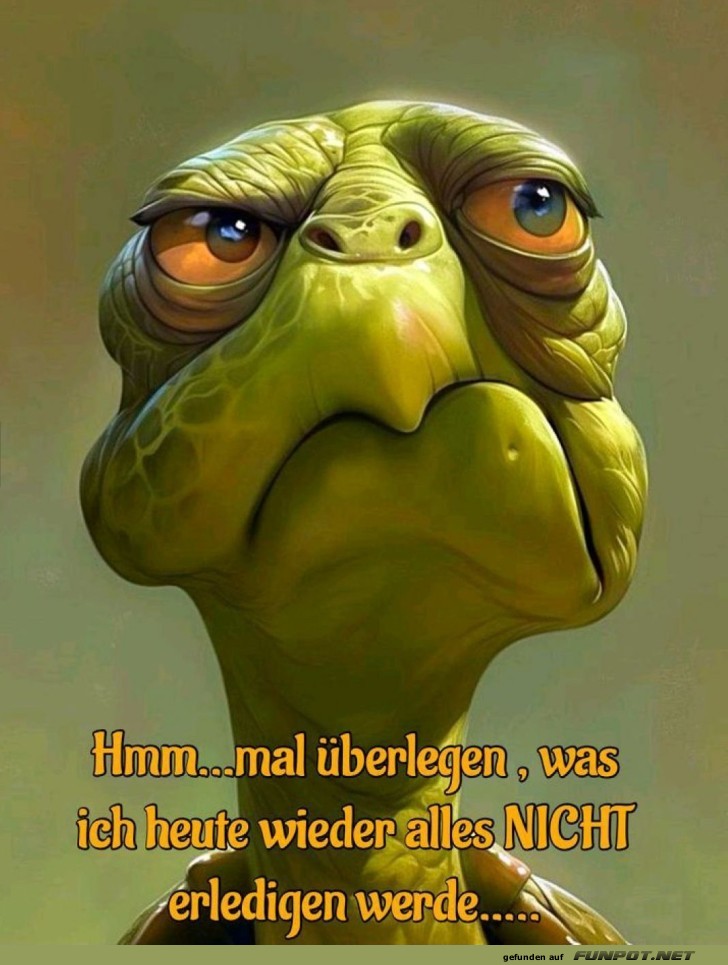 Zufriedene Schildkröte im Prokrastinationsmodus