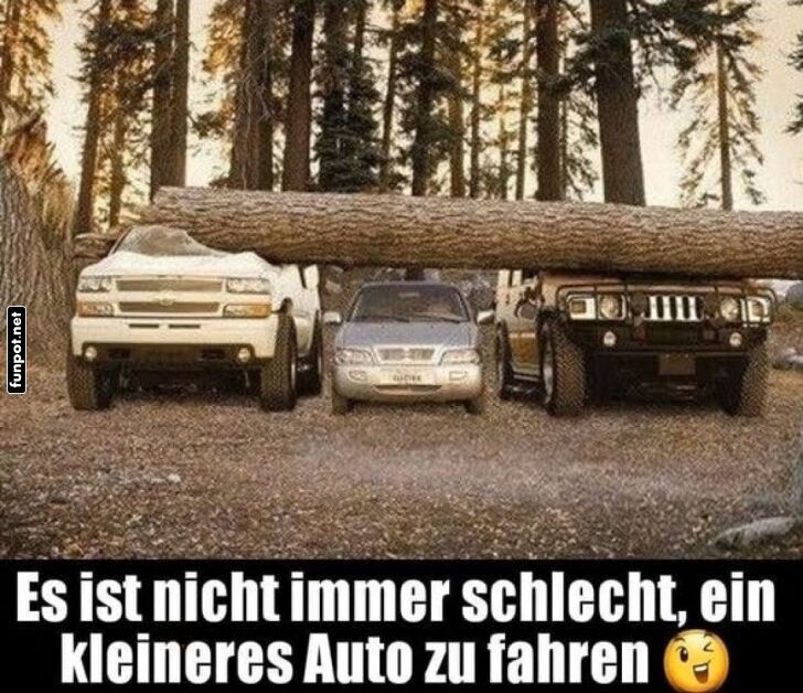 Große Autos, große Probleme! Große Autos, große Probleme!