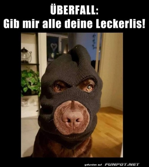 Leckerli-Überfall bei dir Zuhause!